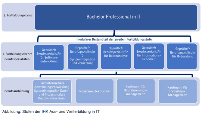 Bachelor Professional in IT